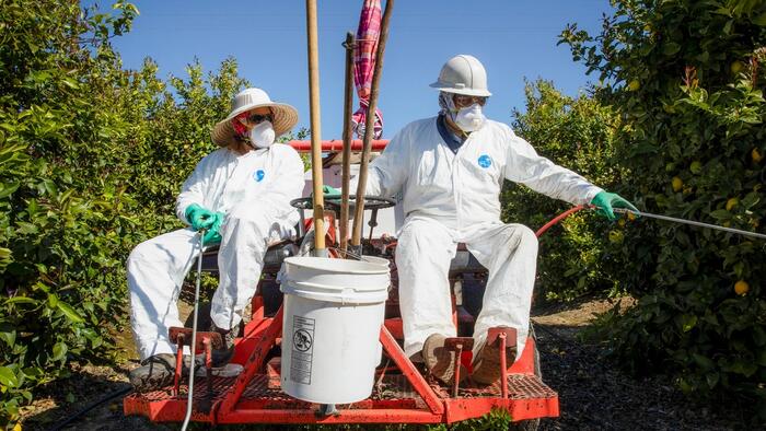 zerohedge.com - Tyler Durden - Texas AG Launches Investigation Into Glyphosate In Food