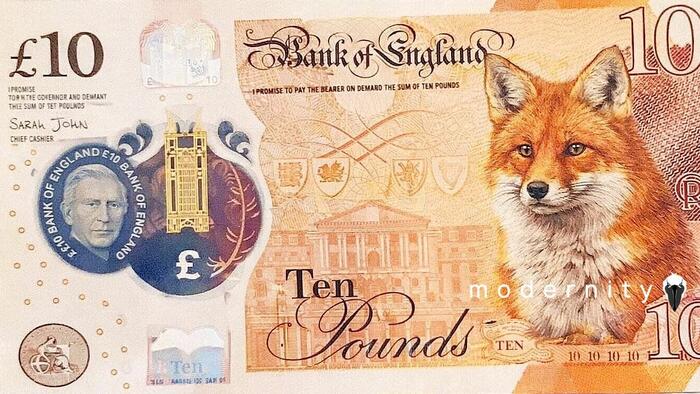 Bank of England Replaces Churchill and Other Figures on Banknotes with Nature Themes