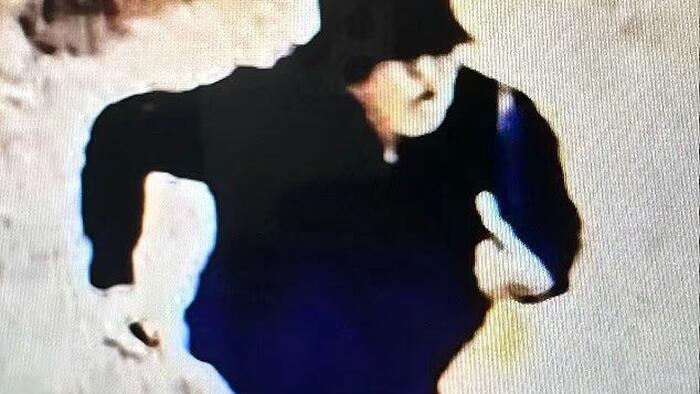 zerohedge.com - Tyler Durden - Interpol Fingers Snake-Tattooed Ukrainian Woman In Monaco Oligarch Bombing