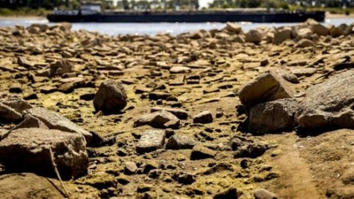 Europe's Heatwave Is Becoming An Energy Crisis