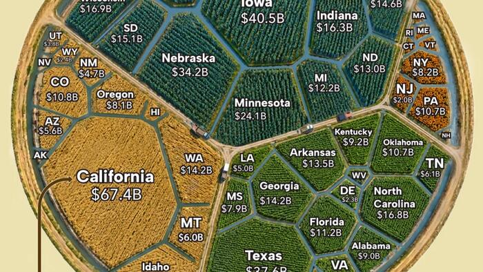 zerohedge.com - Tyler Durden - Which States Produce The Most Food In America?