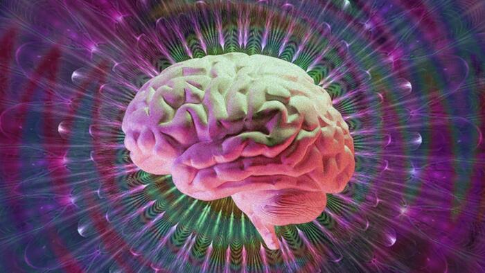 Billionaires Are Buying Into Psychedelic Companies