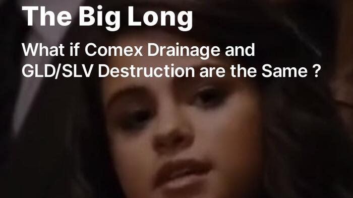 The Big Long: Comex Drainage and GLD Destruction the Same ? - Vimarsana News