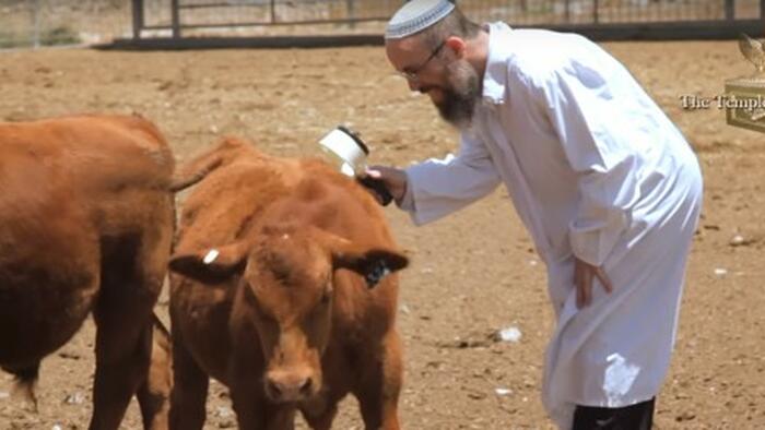 Third Temple, Inc.: The Eschatology Driving Israel's Temple Movement - Vimarsana News