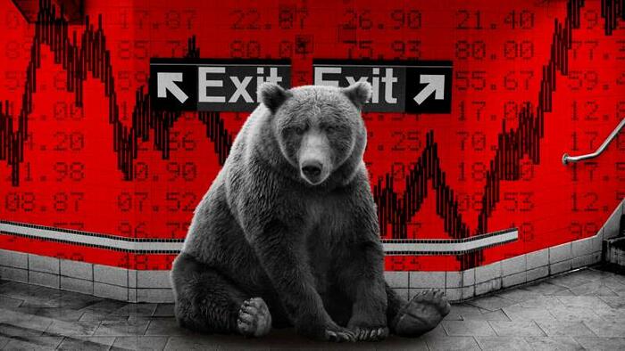 Euphoria is often highest just before a market crash... - Vimarsana News