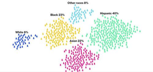 Applicants hired by race