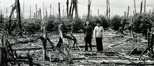 Vietnam War - Vietnamese locals posing in the scorched jungle