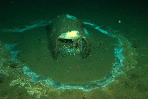 Extent Of Toxic DDT Dumping Off Los Angeles Coast Is 'Staggering' 2021-04-28_07-26-34