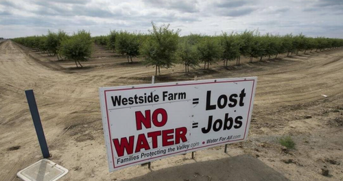 Fallow Land Plagues California Farmers Hit By
Drought 2