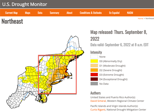 “Really A Desperate Time”: Summer Drought Wreaks Havoc Across Northeast Farmland