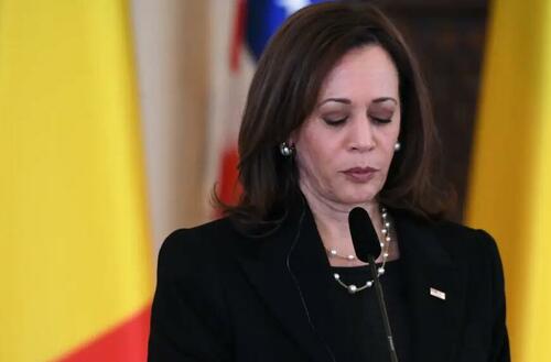 Kamala Comes Out Of Hiding, Slams “Activist” Supreme Court