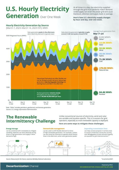 The Renewable Intermittency Challenge