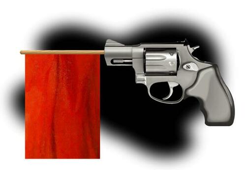 <div>Ron Paul Wrecks 'Red Flag' Gun Laws</div>