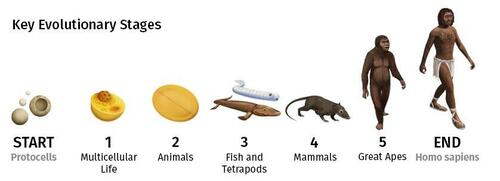 The 4 Billion Year Path Of Human Evolution Visualized | ZeroHedge