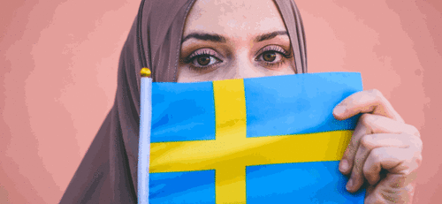 <div>Very Few Migrants Interested In Sweden's Remigration Offer Worth €31,000</div>