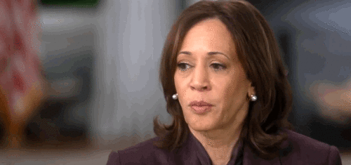 Watch: Kamala.exe Malfunctions During 60 Minutes Ambush Over Border, Firearms, Nomination