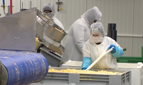 Feds Find Million In Cash While Investigating Staffing Firm Supplying Haitians To Charleroi, PA Food Factory