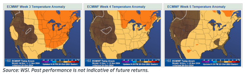 Goldman: “Keep Pressing” NatGas Shorts Amid Weakest October Demand In 61 Years
