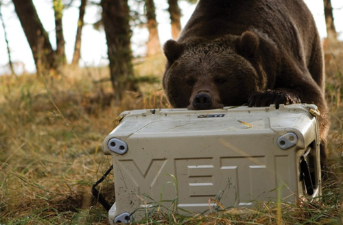 Trump's Trade War Lit A Fire Under YETI Coolers thumbnail