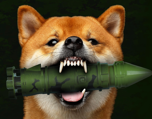 DOGE-Led Audit To Put 400,000 Pentagon Contracts Under Scrutiny