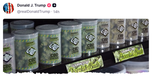 Marijuana Stocks Jump On Trump’s “Revolutionize Senior Healthcare” Video
