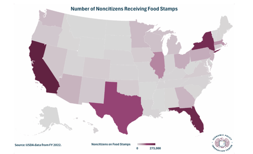 Mapping Where Non-Citizens Receive The Most Food Stamps Mapping Where Non-Citizens Receive The Most Food Stamps
