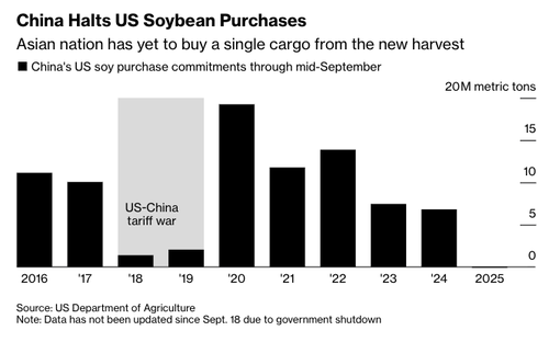 China Buys American Soybeans Before Trump-Xi Meeting  China Buys American Soybeans Before Trump-Xi Meeting