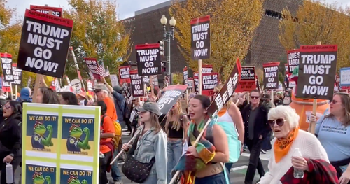 Democrat Election Victories Fail To Spark Mass Mobilization Around White House