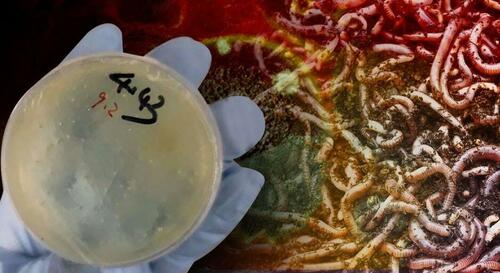 3 More Chinese Researchers Charged With Smuggling Biological Materials Into US 3 More Chinese Researchers Charged With Smuggling Biological Materials Into US