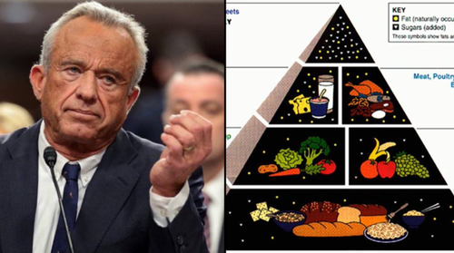 RFK Jr. May Revive Food Pyramid Focused On Whole Foods thumbnail