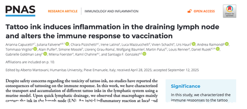 Study Finds Tattoo Ink Accumulates In Lymph Nodes