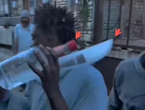 Watch: TikToker Hands Out Vodka, Machetes To Mentally Ill And Homeless