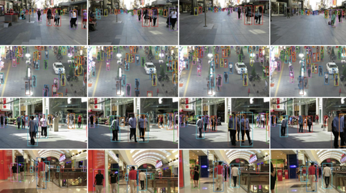 Western Colleges Help Build China's Digital Dragnet With Taxpayer Funds, Study Warns thumbnail