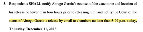 Left-Wing Judge Orders "Maryland Father" Migrant Released From ICE Custody