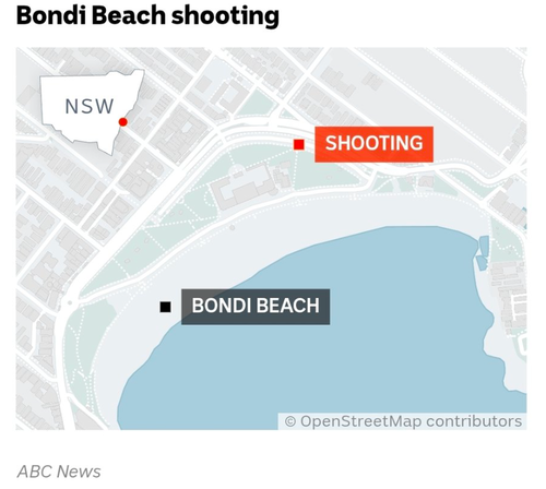 "Evil Act Of Anti-Semitism, Terrorism" : 12 Dead After Shooting At Australian Jewish Event