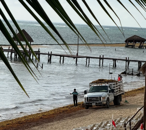 "Rude Awakening" For Travelers: Cancun Drowns In Seaweed