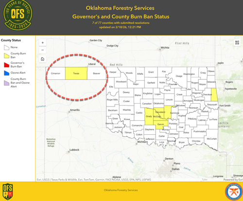 Oklahoma Governor Declares State Of Emergency As Fast-Moving Wildfires Scorch The Panhandle