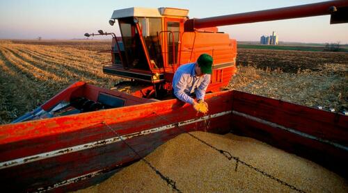 DOJ Finds USDA Preferences For 'Socially Disadvantaged' Farmers Discriminatory