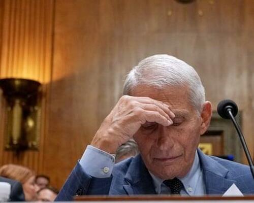 Fauci In Hiding As ABC Censorship Bombshell Explodes