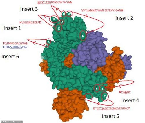 COVID-19 HIV Spike Protein Gene: Virologists Confirm No Credible Natural Ancestor