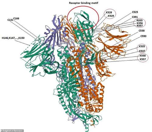 COVID-19 HIV Spike Protein Gene: Virologists Confirm No Credible Natural Ancestor