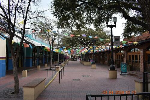 Waste Of The Day: San Antonio To Spend $500K On Trees For Apes