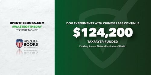 300 Beagles Per Week!? US Continues To Fund Dog Experiments in China