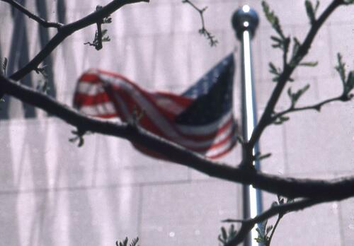 Is Birthright Citizenship A National Suicide Pact? thumbnail
