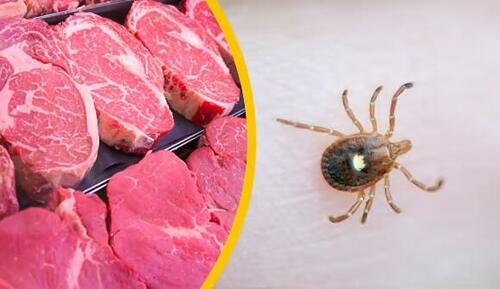 Eco Loons Suggest Proliferating A Plague Of Ticks To Prevent People Eating Meat