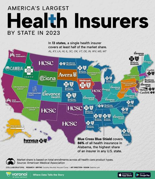 Americas Largest Health Insurers