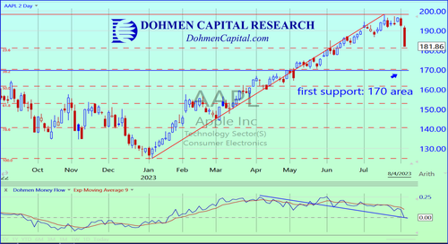Apple 2-day chart from Dohmen Capital Research