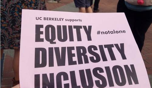 $373M In DEI Funding At US Universities In Four Years