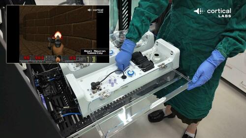 Scientists Train Lab-Grown Human Brain Cells To Play Doom