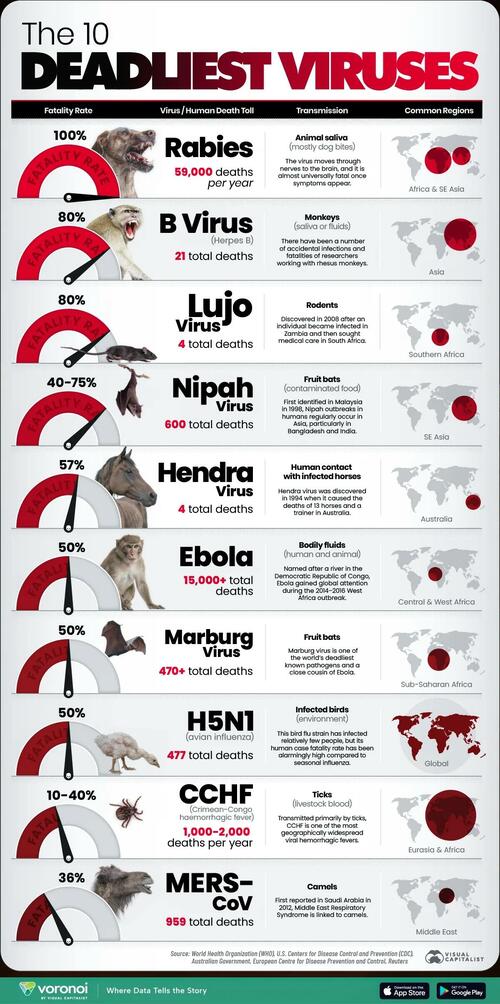 These Are The World’s 10 Deadliest Viruses